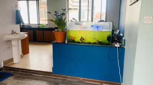 WhatsApp Image 2023-03-08 at 14.58.27