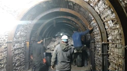 WhatsApp Image 2023-03-10 at 16.45.51